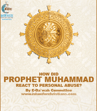 How Did Muhammad React to Personal Abuse? (E-Book)